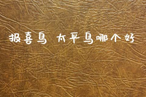 报喜鸟 太平鸟哪个好_https://cj004.lansai.wang_金融监管_第1张