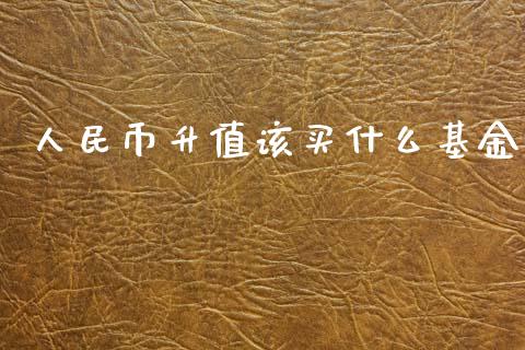 人民币升值该买什么基金_https://cj004.lansai.wang_期货开户_第1张