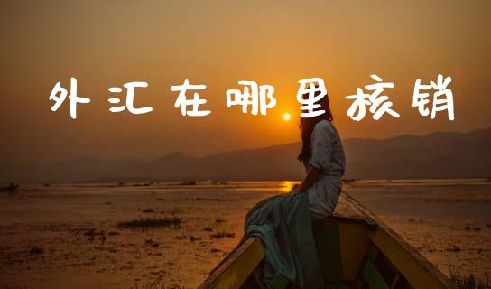 外汇在哪里核销_https://cj004.lansai.wang_金融监管_第1张