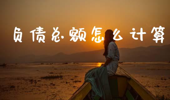 负债总额怎么计算_https://cj004.lansai.wang_债券资讯_第1张