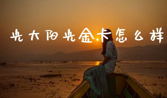 光大阳光金卡怎么样_https://cj004.lansai.wang_全球市场_第1张