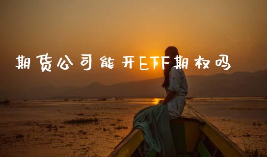 期货公司能开ETF期权吗_https://cj004.lansai.wang_财经新闻_第1张