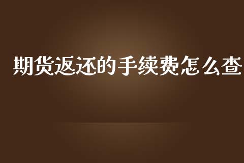 期货返还的手续费怎么查_https://cj004.lansai.wang_全球市场_第1张