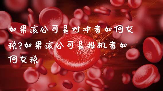 如果该公司是对冲者如何交税?如果该公司是投机者如何交税_https://cj004.lansai.wang_全球市场_第1张