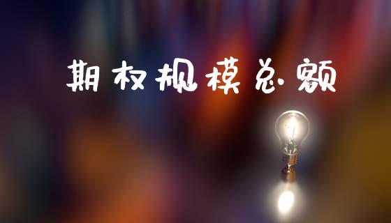 期权规模总额_https://cj004.lansai.wang_债券资讯_第1张
