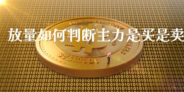 放量如何判断主力是买是卖_https://cj004.lansai.wang_外汇交易_第1张
