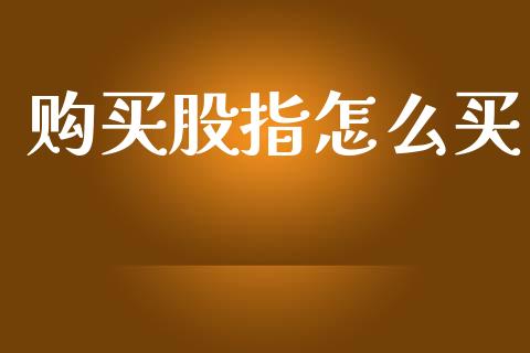 购买股指怎么买_https://cj004.lansai.wang_外汇交易_第1张