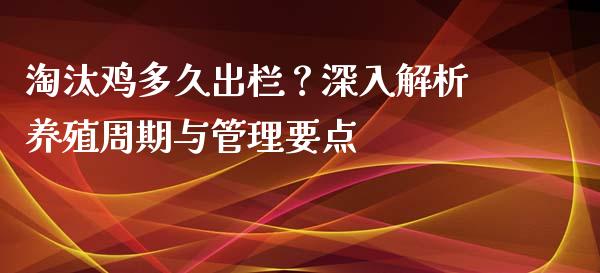 淘汰鸡多久出栏？深入解析养殖周期与管理要点_https://cj004.lansai.wang_期货开户_第1张