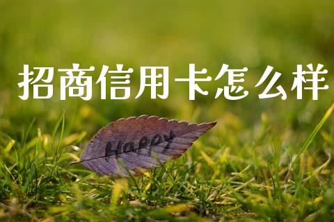 招商信用卡怎么样_https://cj004.lansai.wang_债券资讯_第1张