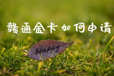 赣通金卡如何申请_https://cj004.lansai.wang_金融监管_第1张
