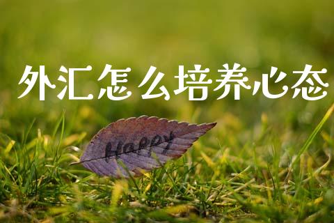 外汇怎么培养心态_https://cj004.lansai.wang_全球市场_第1张