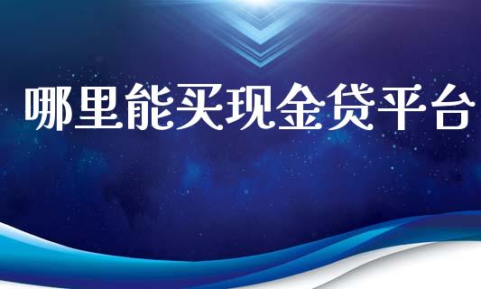 哪里能买现金贷平台_https://cj004.lansai.wang_外汇交易_第1张