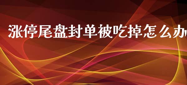 涨停尾盘封单被吃掉怎么办_https://cj004.lansai.wang_全球市场_第1张