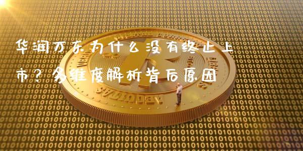 华润万东为什么没有终止上市？多维度解析背后原因_https://cj004.lansai.wang_期货开户_第1张