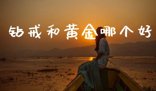 钻戒和黄金哪个好_https://cj004.lansai.wang_外汇交易_第1张
