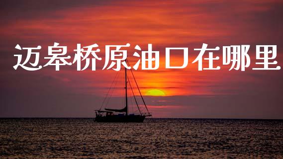 迈皋桥原油口在哪里_https://cj004.lansai.wang_期货开户_第1张