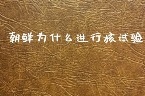 朝鲜为什么进行核试验_https://cj004.lansai.wang_全球市场_第1张