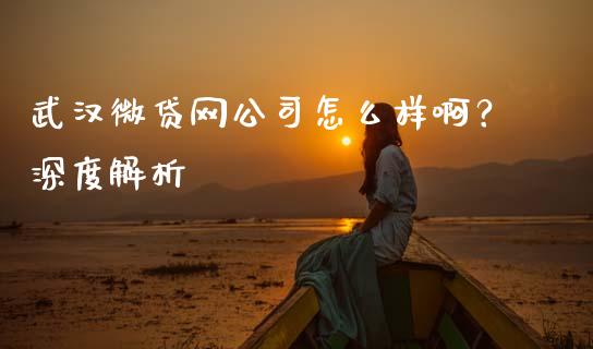 武汉微贷网公司怎么样啊？深度解析_https://cj004.lansai.wang_财经新闻_第1张