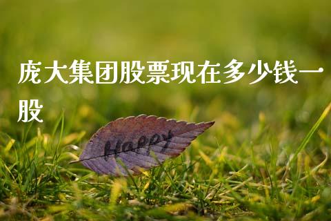 庞大集团股票现在多少钱一股_https://cj004.lansai.wang_金融监管_第1张