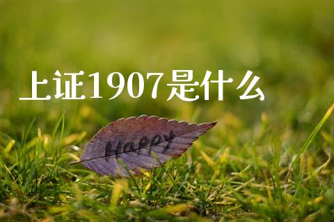 上证1907是什么_https://cj004.lansai.wang_债券资讯_第1张