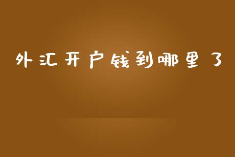 外汇开户钱到哪里了_https://cj004.lansai.wang_债券资讯_第1张