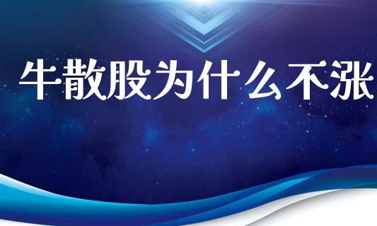 牛散股为什么不涨_https://cj004.lansai.wang_全球市场_第1张