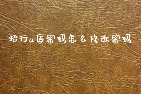 招行u盾密码怎么修改密码_https://cj004.lansai.wang_债券资讯_第1张