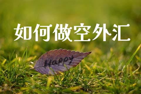 如何做空外汇_https://cj004.lansai.wang_财经新闻_第1张