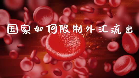 国家如何限制外汇流出_https://cj004.lansai.wang_期货开户_第1张