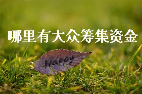 哪里有大众筹集资金_https://cj004.lansai.wang_期货开户_第1张