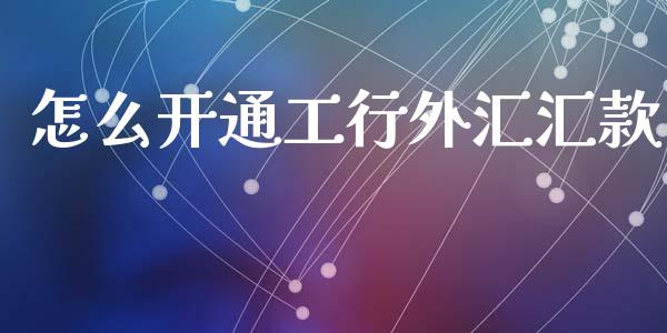 怎么开通工行外汇汇款_https://cj004.lansai.wang_金融监管_第1张