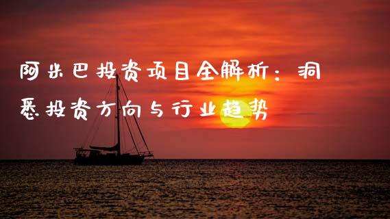 阿米巴投资项目全解析：洞悉投资方向与行业趋势_https://cj004.lansai.wang_全球市场_第1张