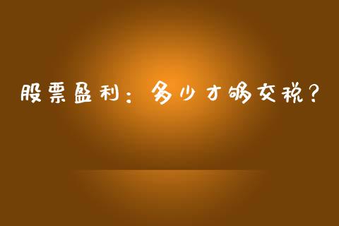 股票盈利：多少才够交税？_https://cj004.lansai.wang_期货开户_第1张