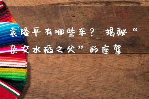 袁隆平有哪些车？ 揭秘“杂交水稻之父”的座驾_https://cj004.lansai.wang_全球市场_第1张