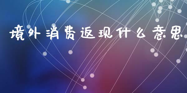 境外消费返现什么意思_https://cj004.lansai.wang_金融监管_第1张