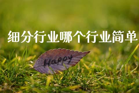 细分行业哪个行业简单_https://cj004.lansai.wang_金融监管_第1张