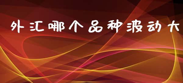 外汇哪个品种波动大_https://cj004.lansai.wang_金融监管_第1张