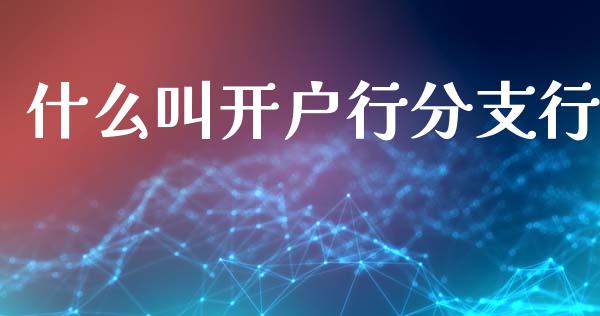 什么叫开户行分支行_https://cj004.lansai.wang_财经新闻_第1张