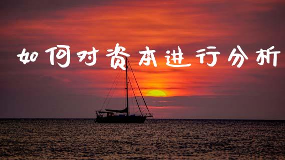 如何对资本进行分析_https://cj004.lansai.wang_金融监管_第1张