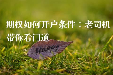 期权如何开户条件：老司机带你看门道_https://cj004.lansai.wang_全球市场_第1张