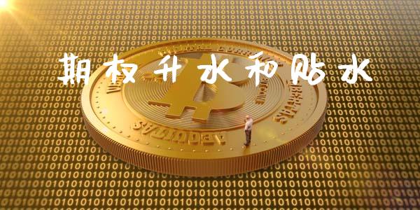 期权升水和贴水_https://cj004.lansai.wang_外汇交易_第1张