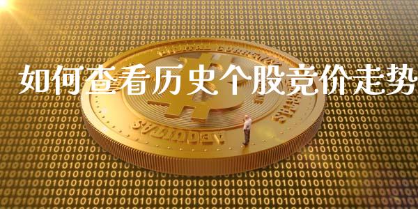 如何查看历史个股竞价走势_https://cj004.lansai.wang_外汇交易_第1张