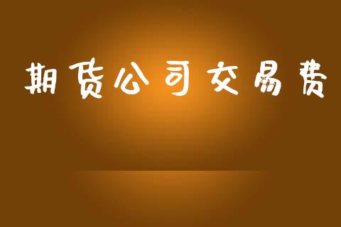 期货公司交易费_https://cj004.lansai.wang_外汇交易_第1张