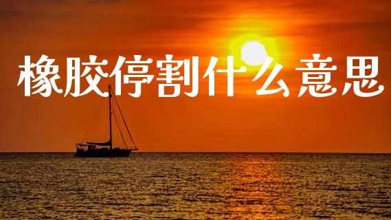 橡胶停割什么意思_https://cj004.lansai.wang_债券资讯_第1张