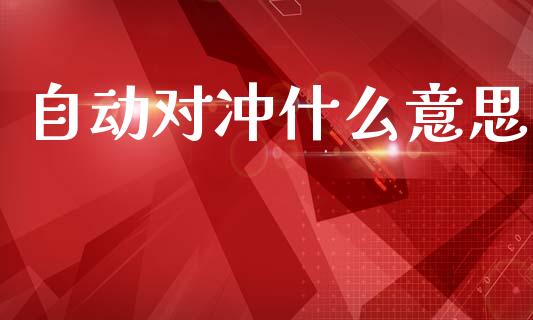 自动对冲什么意思_https://cj004.lansai.wang_全球市场_第1张