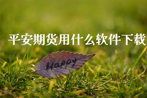 平安期货用什么软件下载_https://cj004.lansai.wang_全球市场_第1张