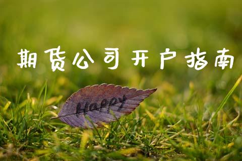 期货公司开户指南_https://cj004.lansai.wang_外汇交易_第1张