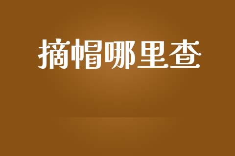 摘帽哪里查_https://cj004.lansai.wang_外汇交易_第1张