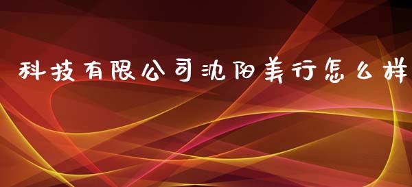 科技有限公司沈阳美行怎么样_https://cj004.lansai.wang_财经新闻_第1张