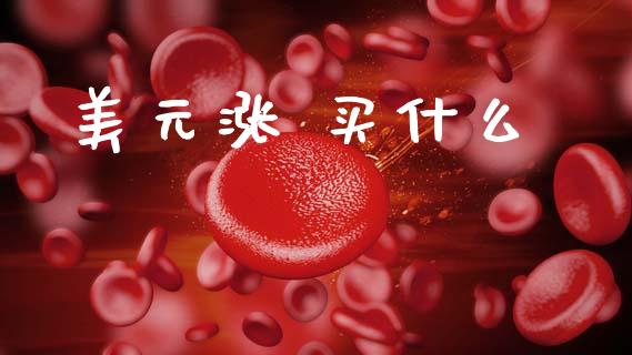 美元涨 买什么_https://cj004.lansai.wang_财经新闻_第1张